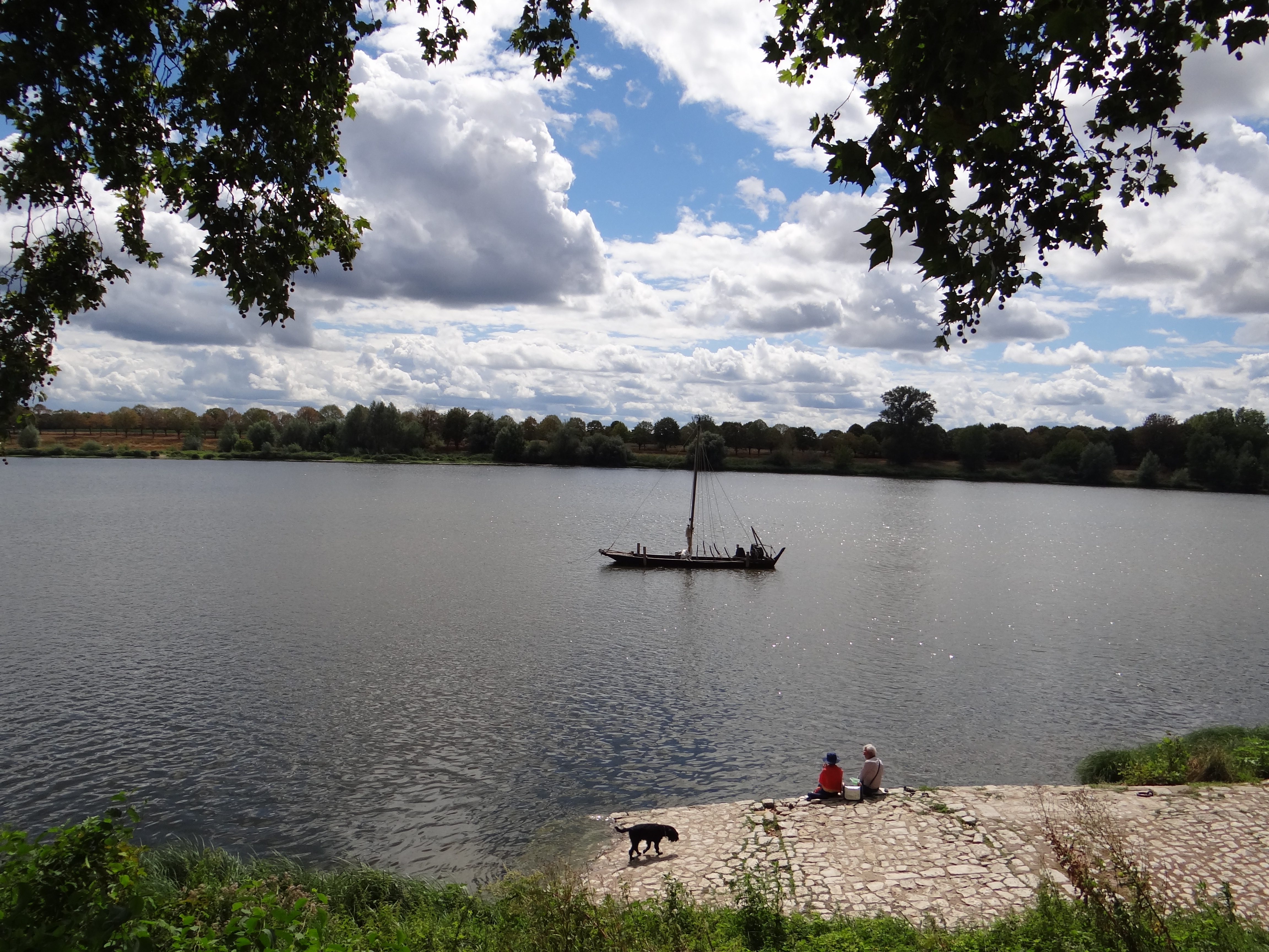 La Loire et le port