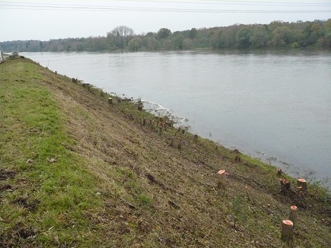 Le site de Mareau-aux-prés après travaux de déboisement