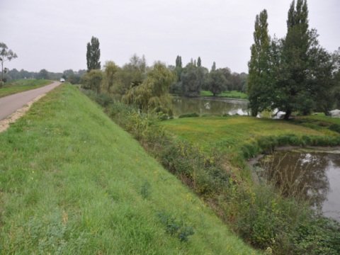 Le site de l'étang du Domaine du Pont côté Loire