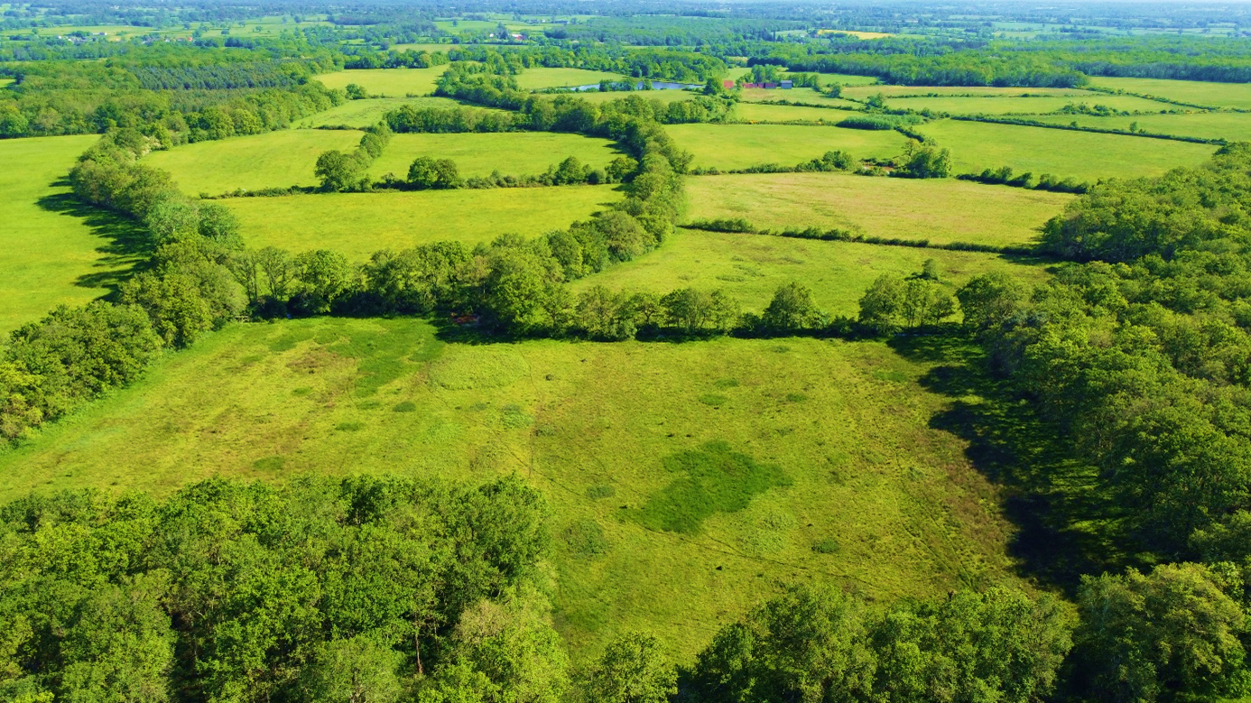 Bocage du Gué de Laveau
